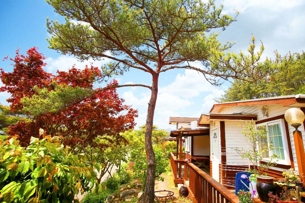 Mallipo Sunset Memory Pension (만리포 석양의 추억 펜션): A Cozy Coastal Getaway
