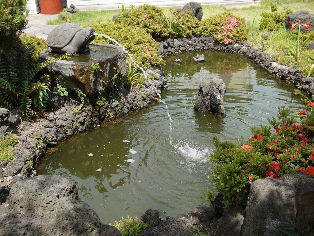 Jeju Phil House Pension: A Budget-Friendly Stay in Jeju (제주 필 하우스 펜션)