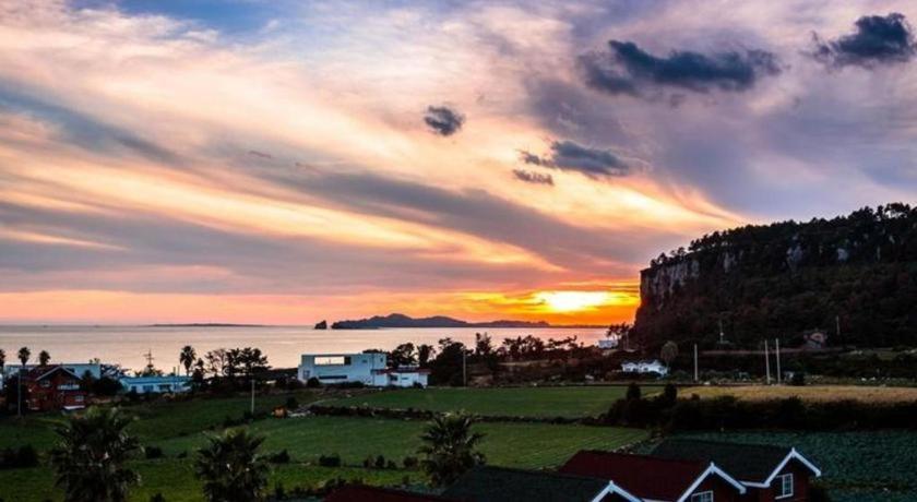 JQ Cube Pension: A 2-Star Oasis in Jeju Island