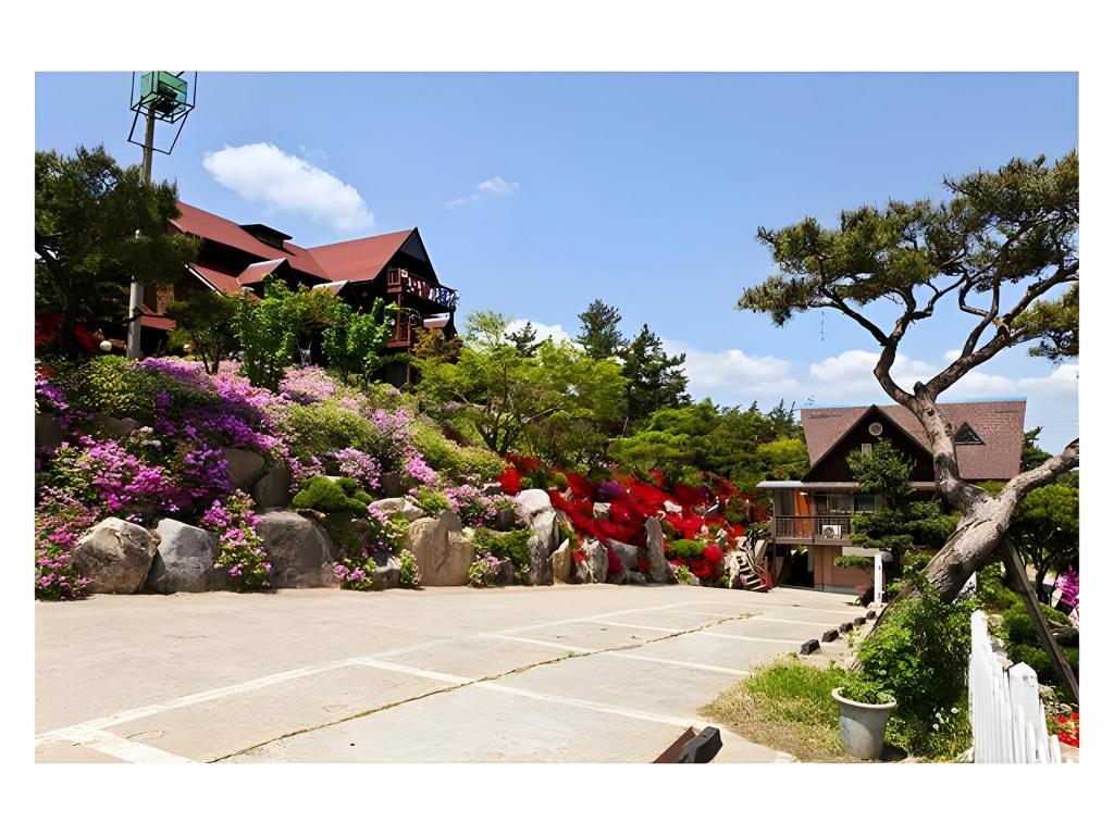 Cherubill Pension: Oceanfront Serenity in Taean