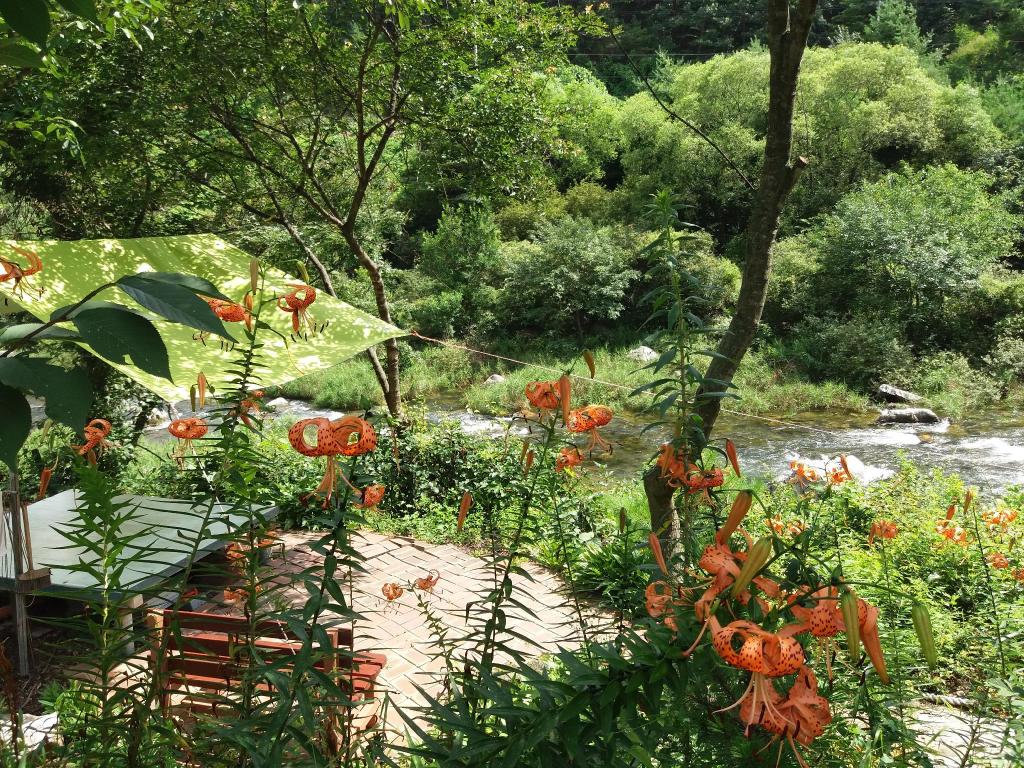 Best Hotels in Yeongwol, South Korea – Cloud Pension Review