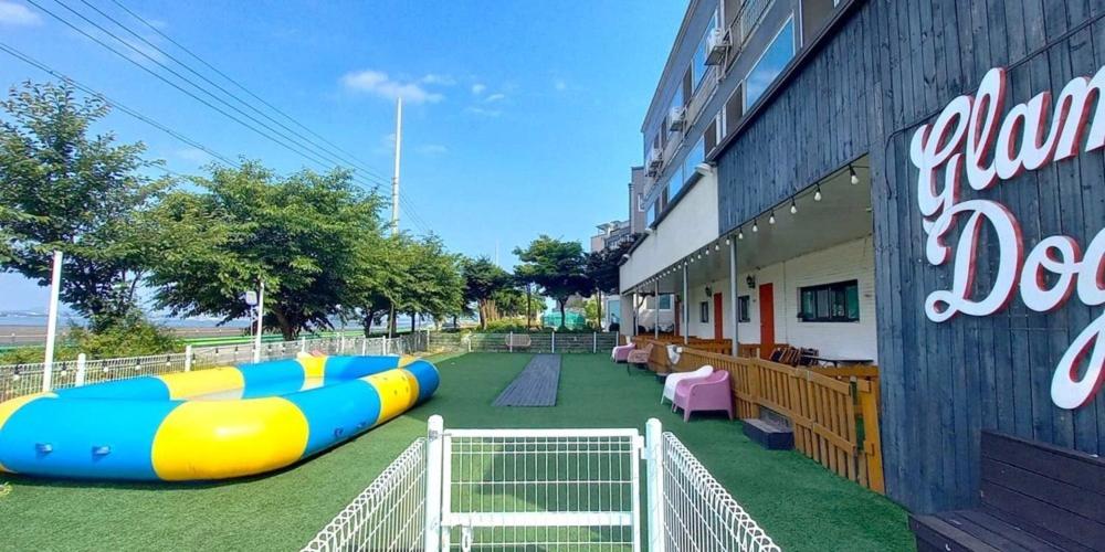Best Hotels in Incheon, South Korea – Glamping Dog Yeongheungdo (Pet-Friendly) Review