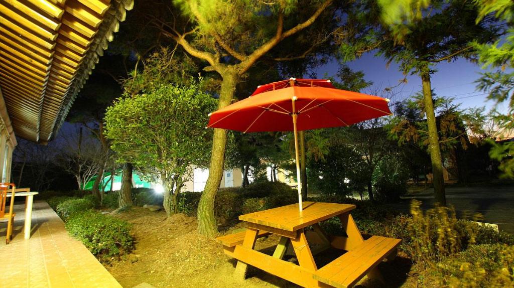 Best Hotels in Gyeongju, South Korea – KB Pension Review