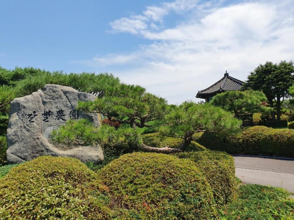 Best Hotels in Boseong, South Korea – Wangsil Pension Review