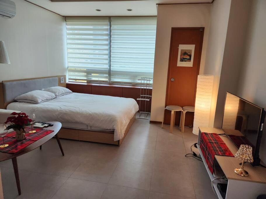 Best Hotels in Seoul, South Korea – Cute & Cozy House near Sinsa Station & Garosugil Review