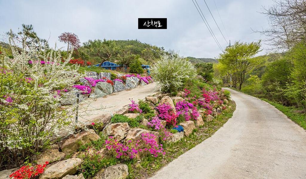양각산펜션 image