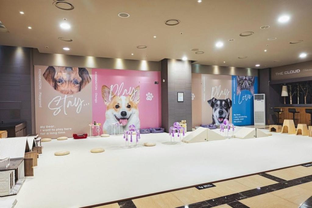 켄싱턴리조트 충주 image