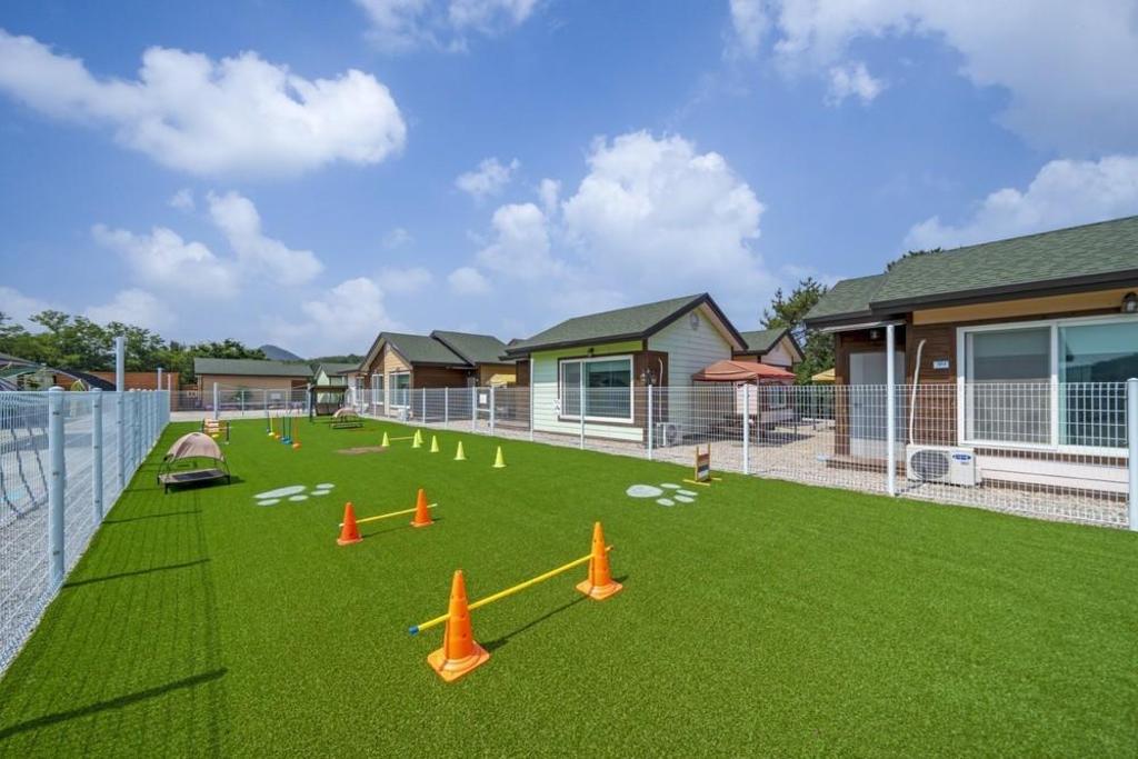 하늘 아래 첫 동네 애견 펜션 image