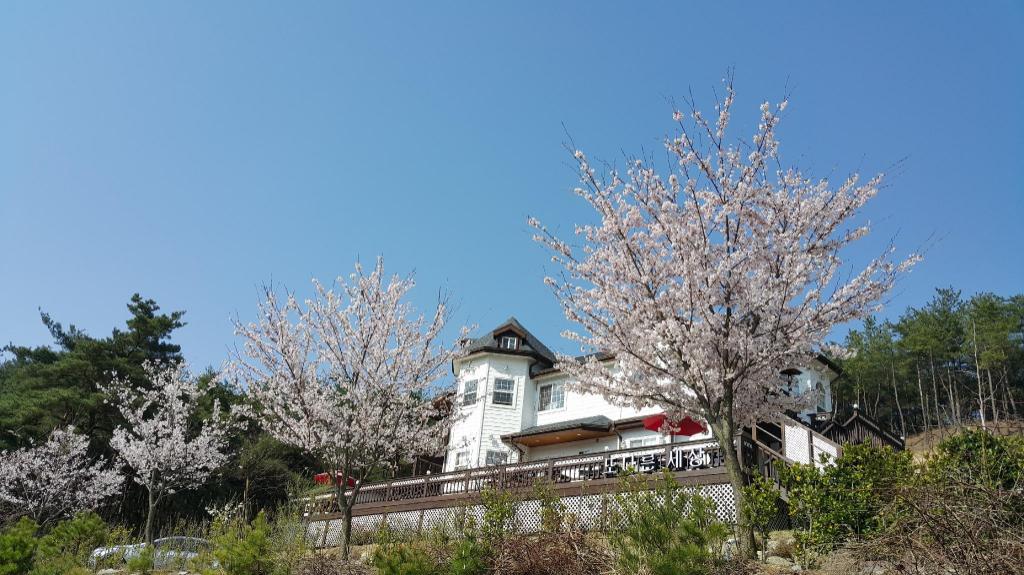 경주 또다른세상 펜션 image