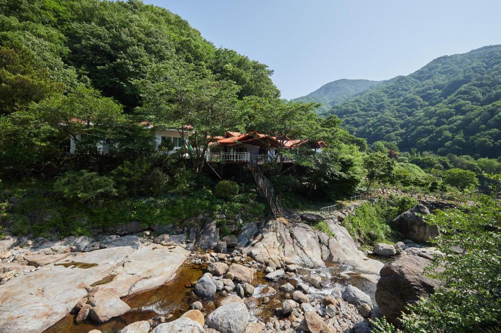 누란의 뜰 image