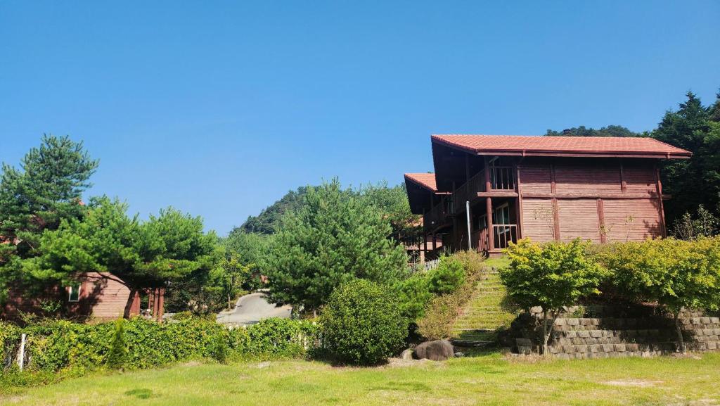 녹차 리조트 image