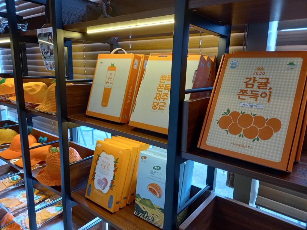 돈내코 힐 리조트 image