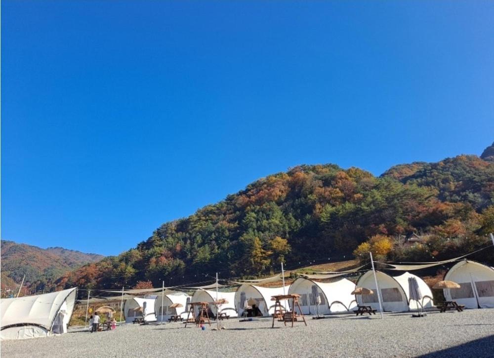 제천 J글램핑 image