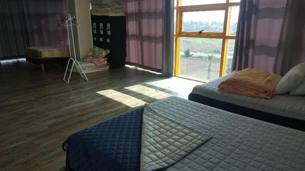 The Freedom - Hostel image