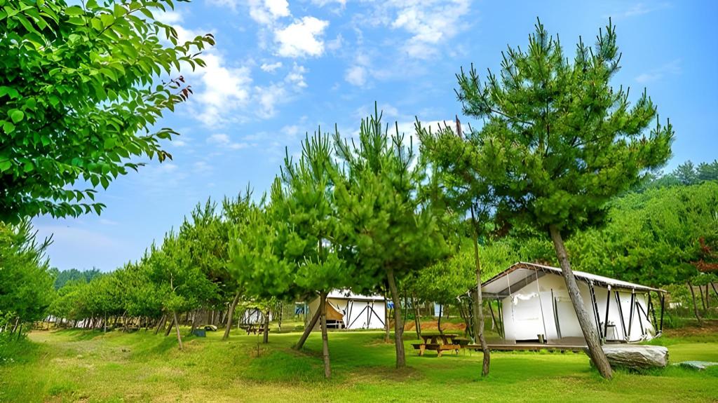 서천 파인트리글램핑 image