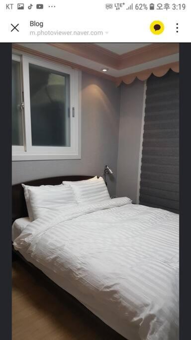프라이빗 모사금 image