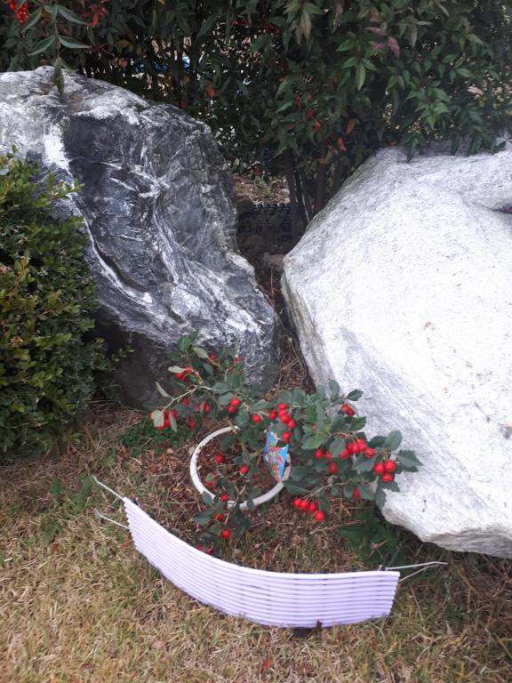경주 둥지가족펜션  image