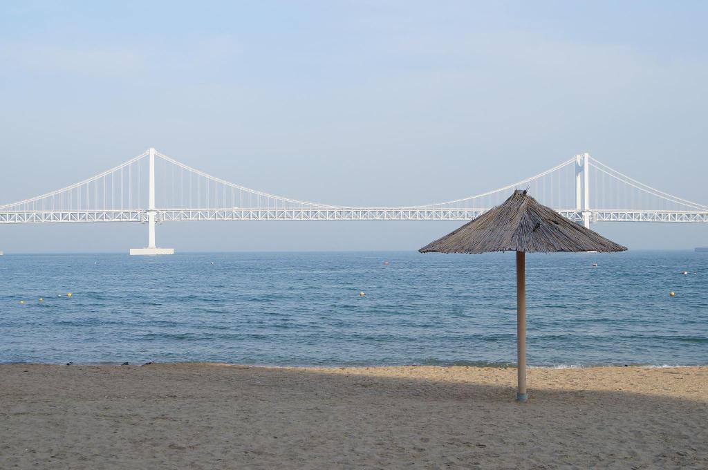 블루 웨이브 image