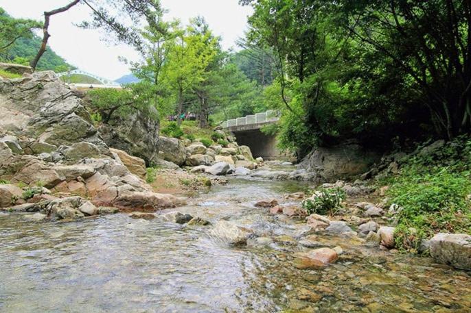 양평 산너머 펜션 image