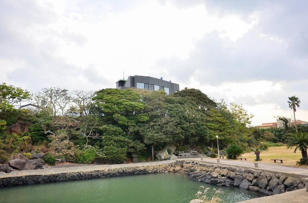 Jeju Backpaecus Villa 백패커스 빌라 image