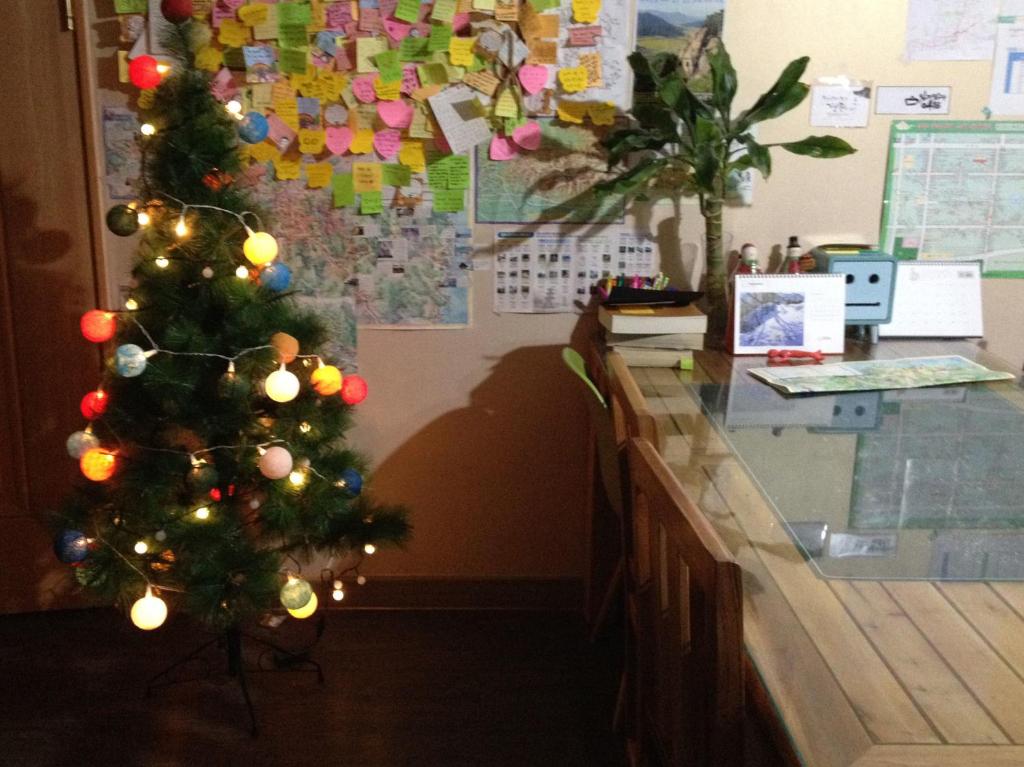 Best Hotels in Gyeongju, South Korea – Momojein Guesthouse Review