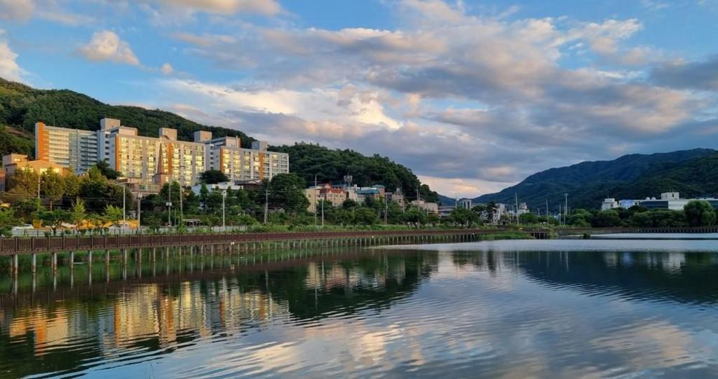 Best Hotels in Wonju, South Korea – Bauhaus Inn Wonju Review