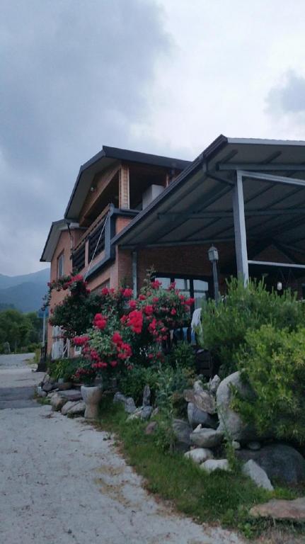 Best Hotels in Yeongju, South Korea – Yeongju Therapy Minbak Pension Review