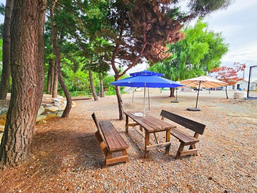 Best Hotels in Donghae, South Korea – Odaeocean Tennis Pension Review