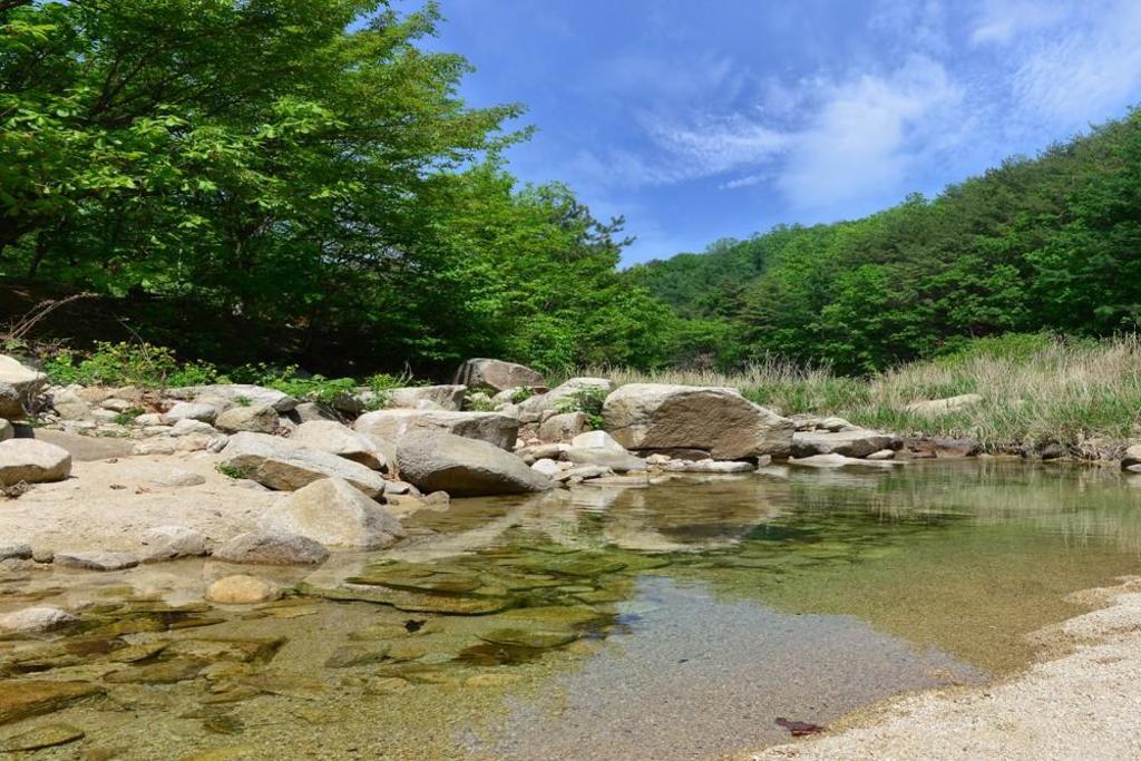 햇살고요 캠프 image