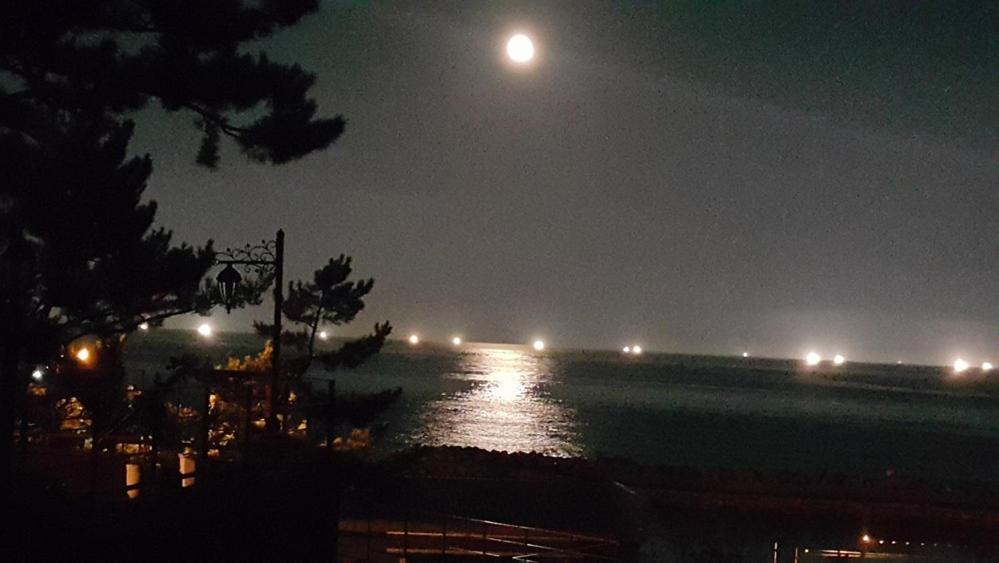 포항 씨드림 펜션 image