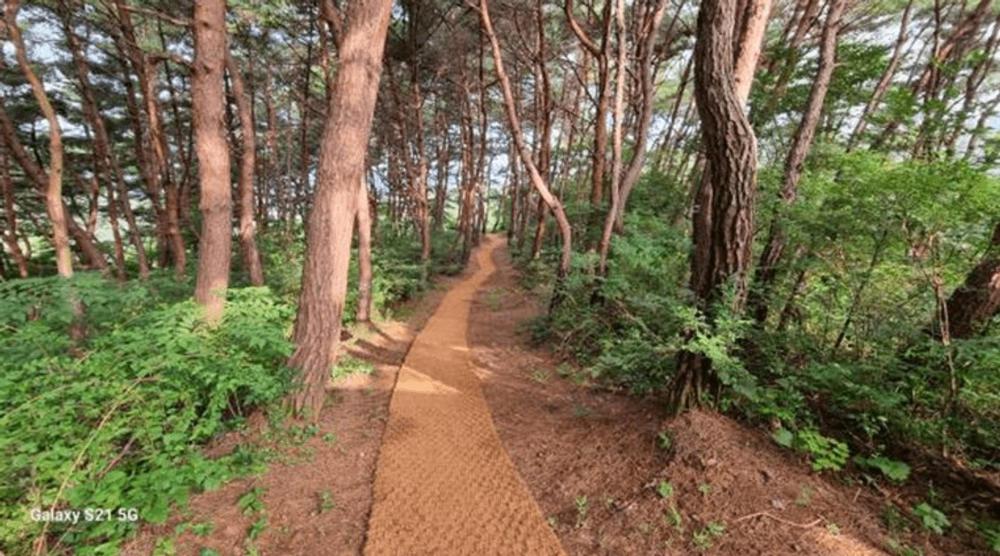 바우하우스 인 원주 image