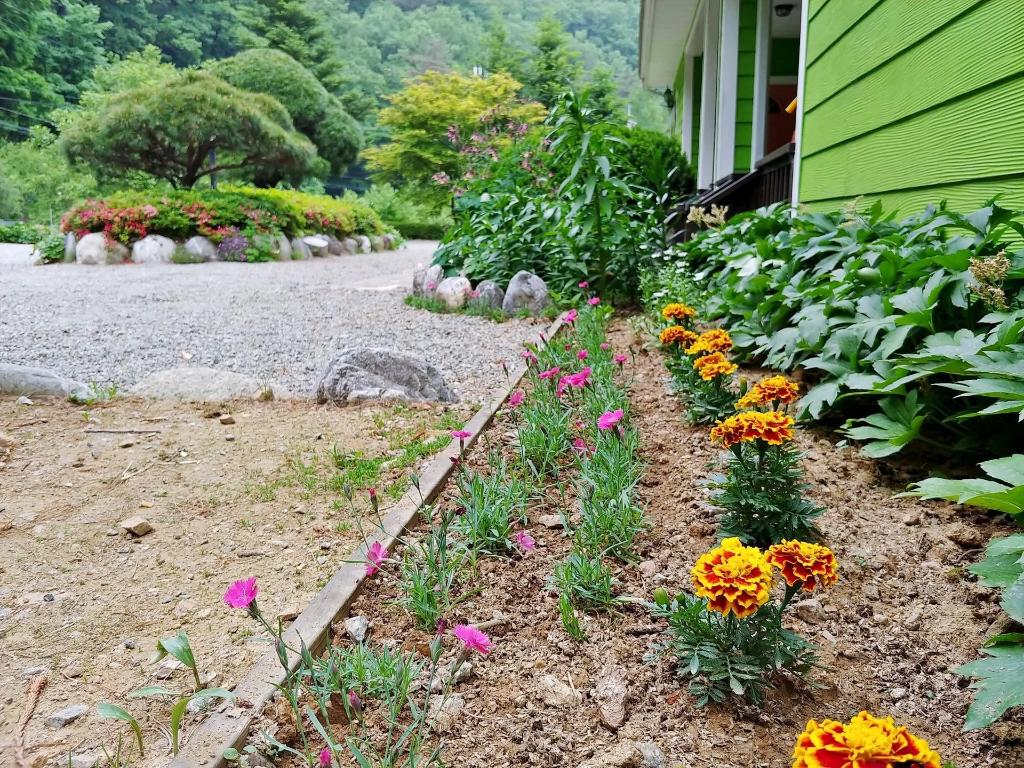 양양 산골여행 펜션 image