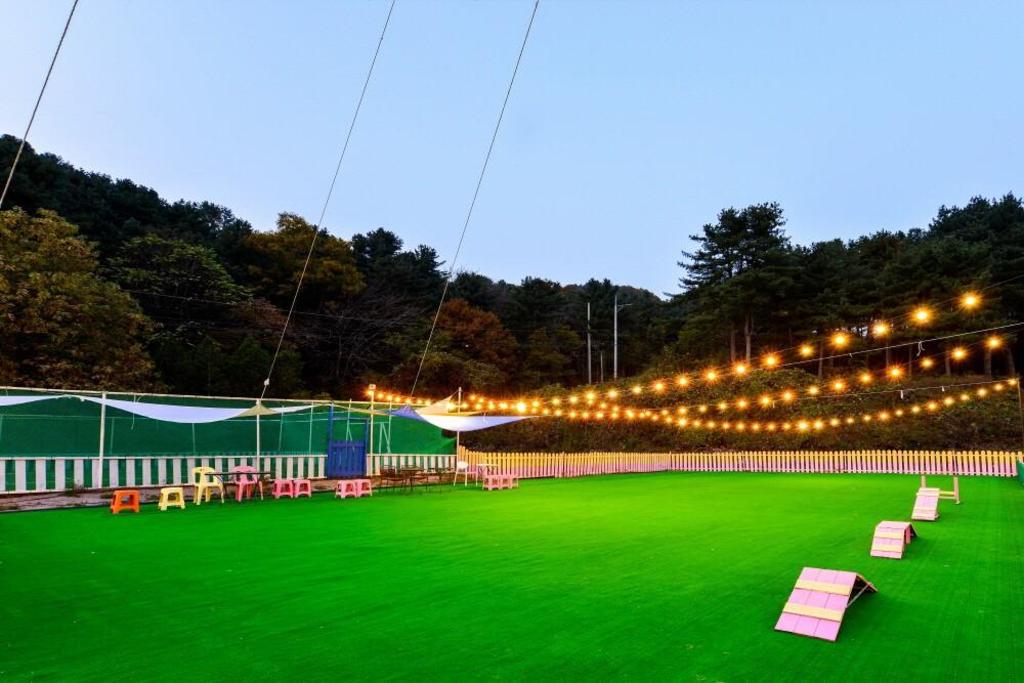땡큐 도그 애견 펜션 image