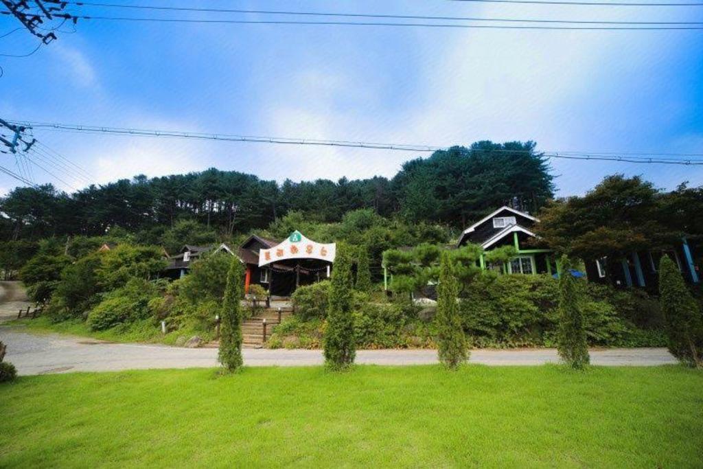 가평 트리하우스 image