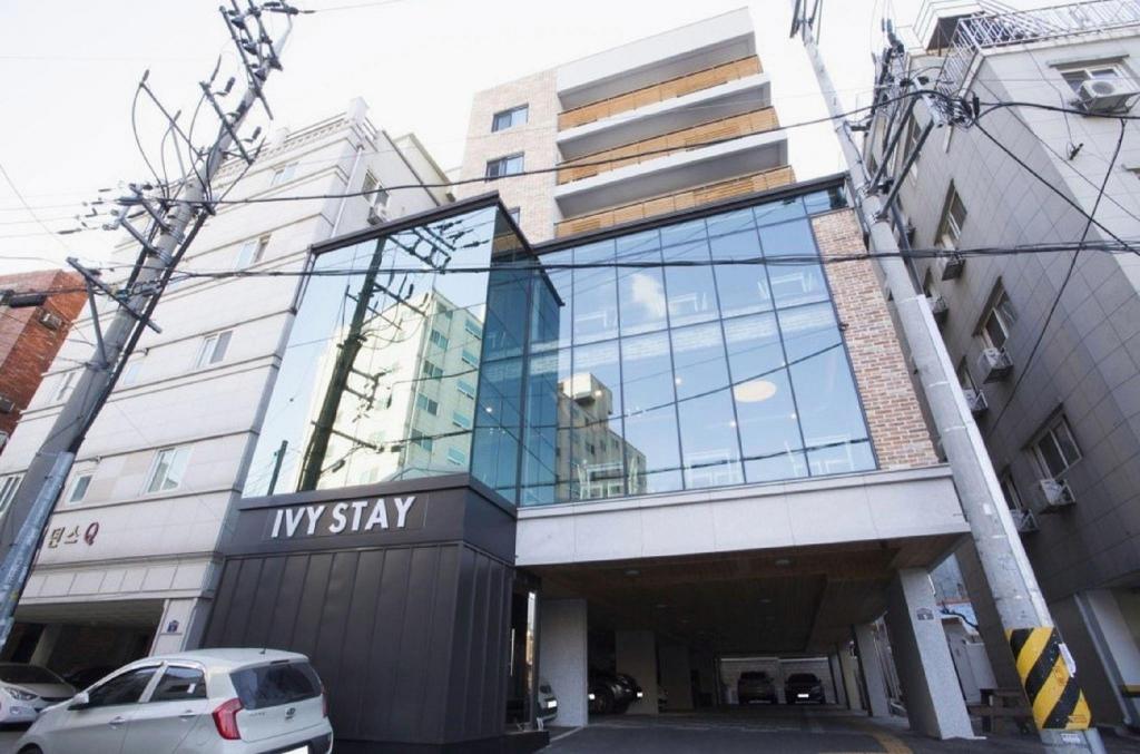 아이비 스테이 image