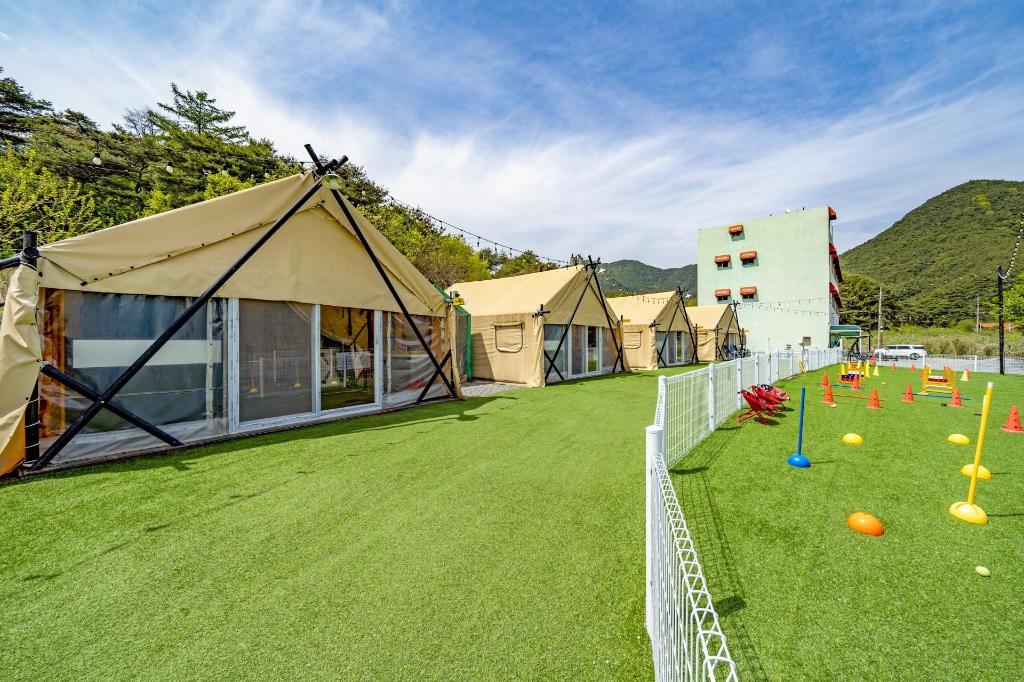 신난다 애견 글램핑 image