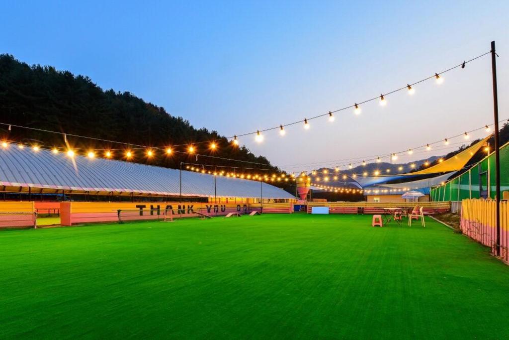 땡큐 도그 애견 펜션 image