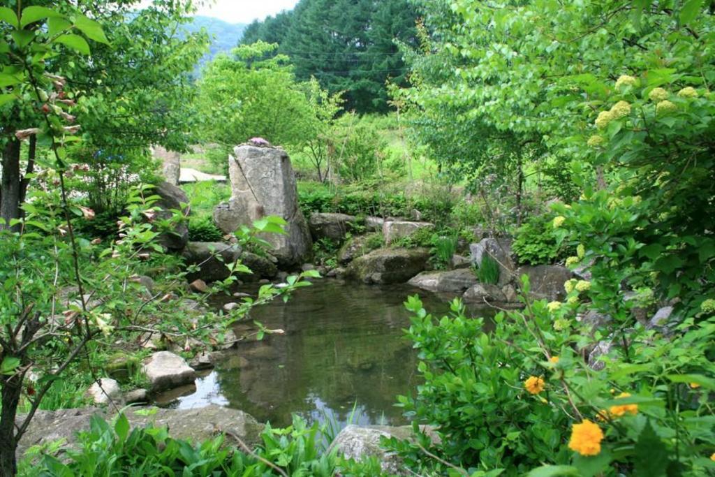 향촌 펜션 image