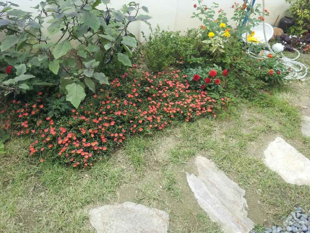 모헌 한옥 펜션 image