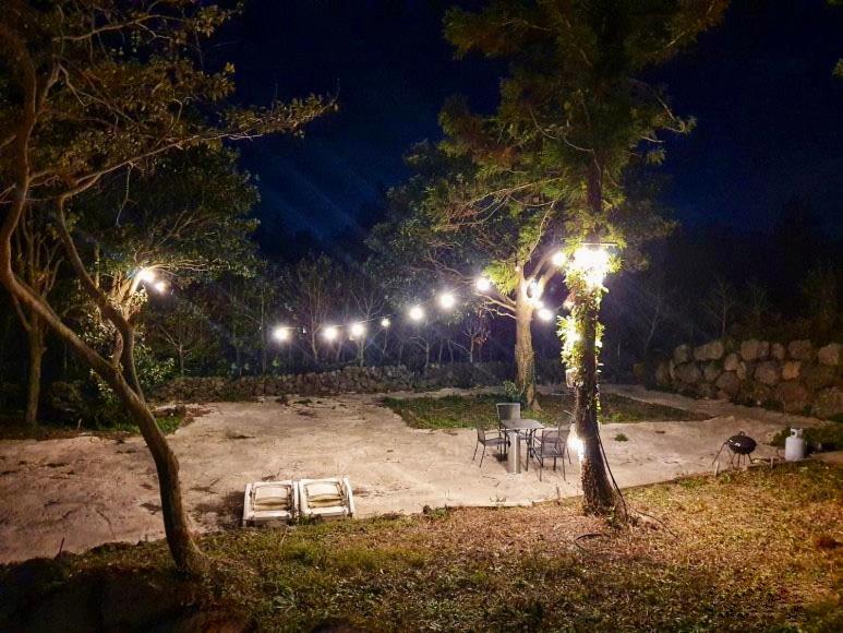 수 스테이 image