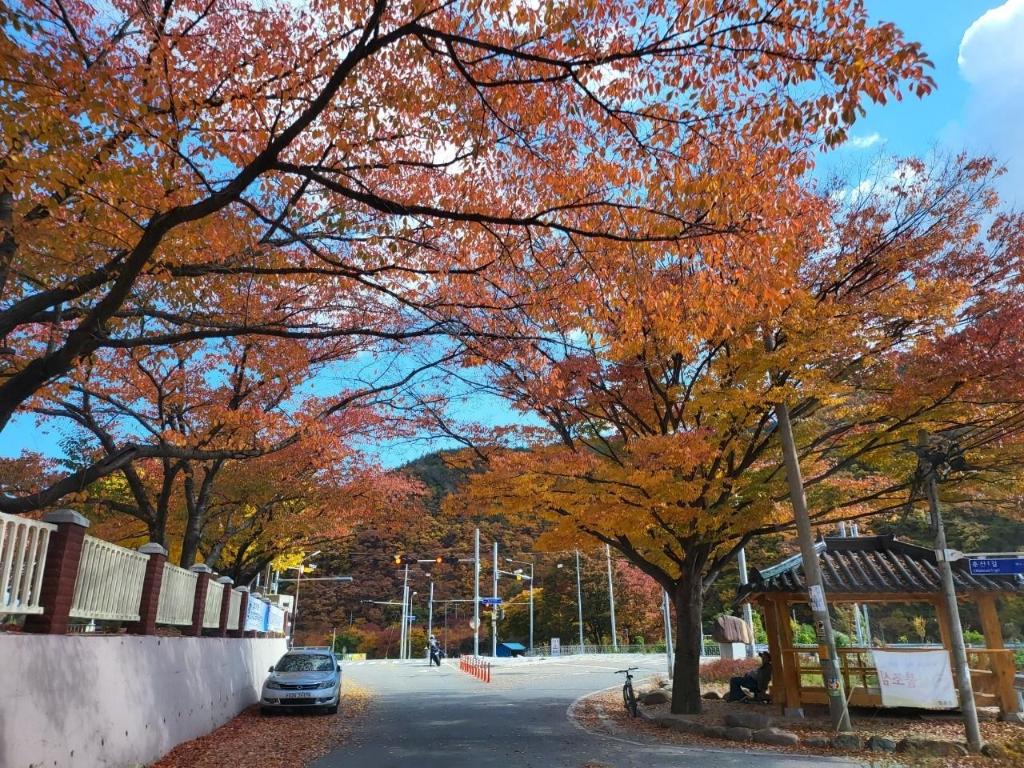 동명면의 프라이빗 하우스 (49m², 침실 1개, 프라이빗 욕실 1개) image