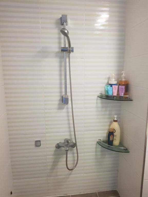 푸르미르 펜션 image