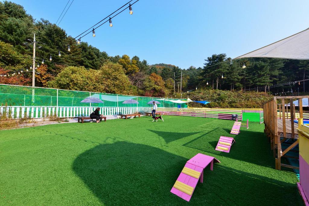 땡큐 도그 애견 펜션 image