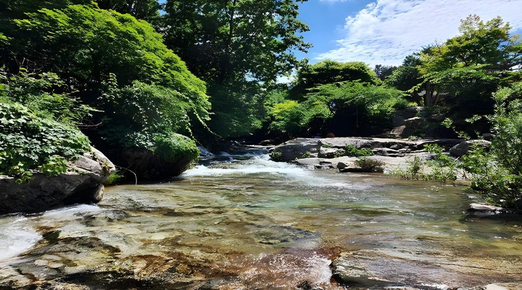 가평 두메산골 펜션 image
