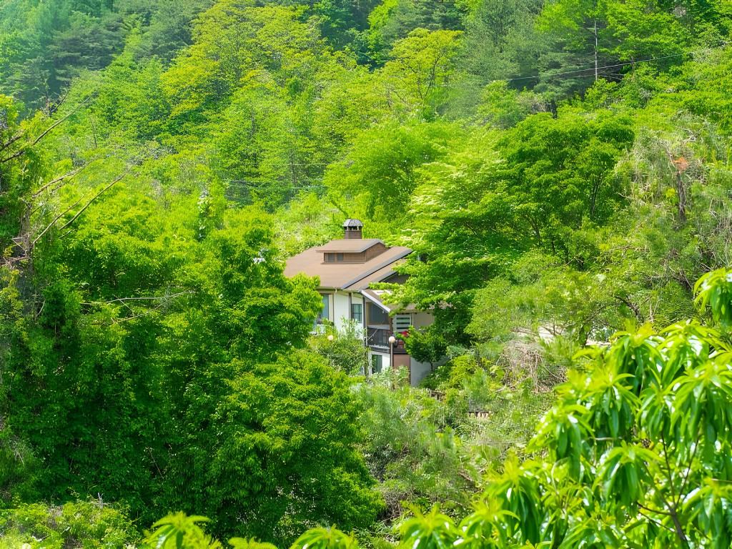 다산방 image