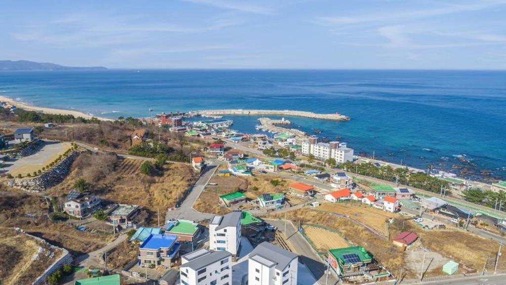 안녕 동해야 image