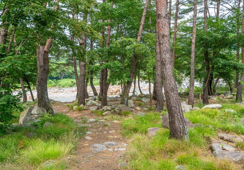 백담 계곡 펜션 image