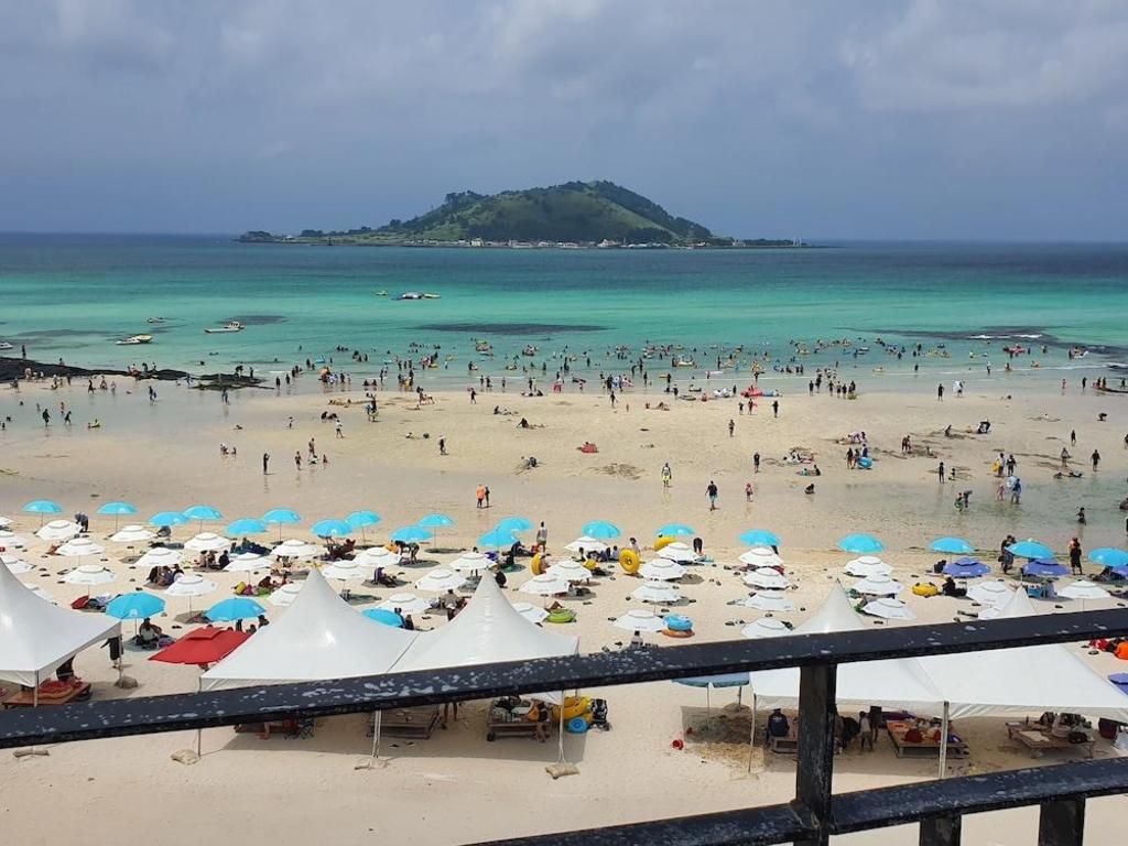 제주 해조대 image