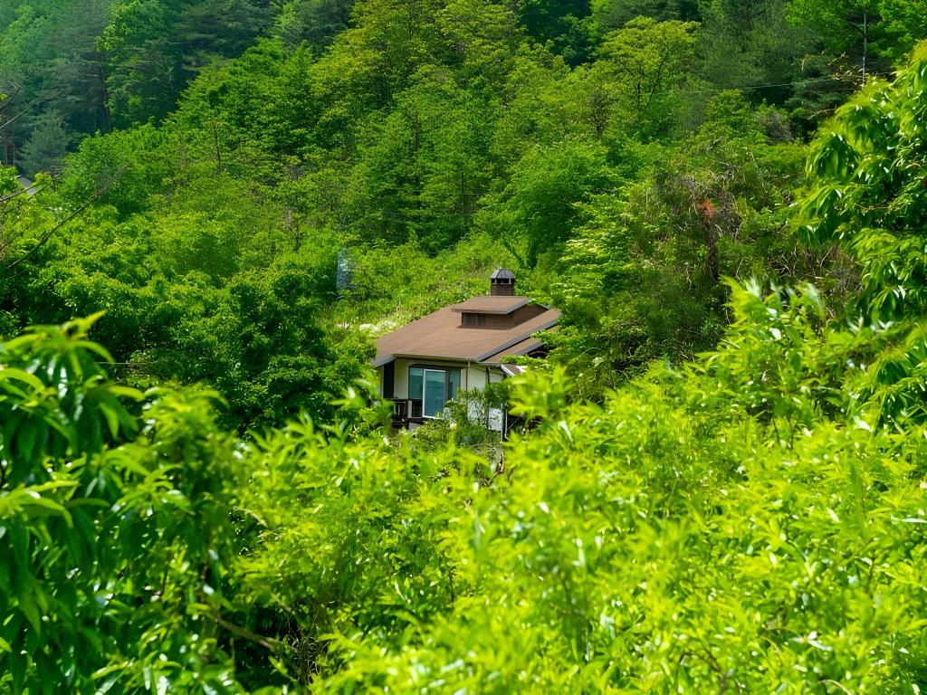 다산방 image