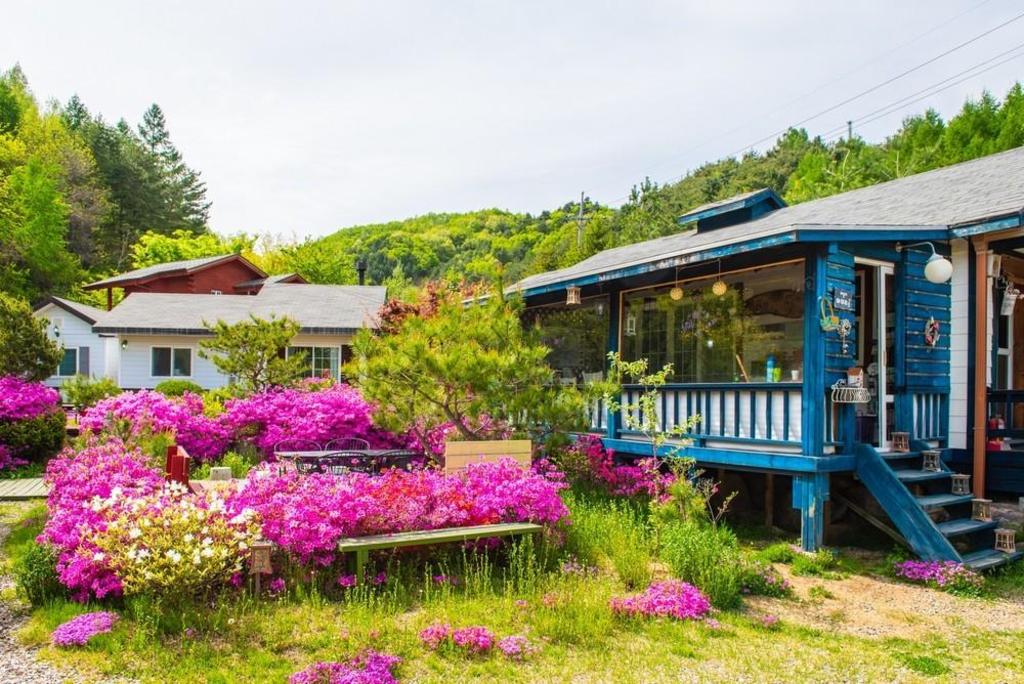 Best Hotels in Pyeongchang, South Korea – Pyeongchang Chermatt Pension Review